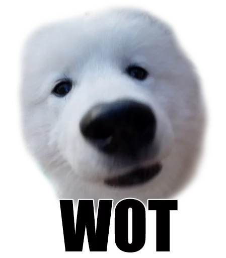 Logo wot